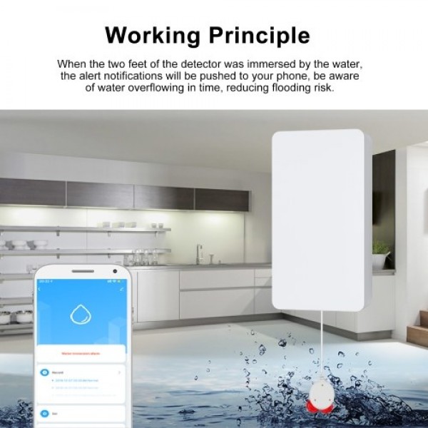 WIFI Water Leak Sensor