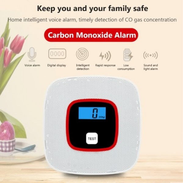 Carbon Monoxide Alarm Detector