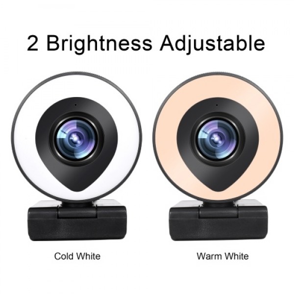 Webcam Streaming 1080P Full HD with Dual Microphone and Ring Light USB Web Camera Stream for Laptop YouTube OBS