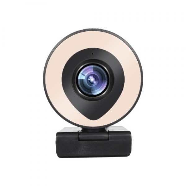 Webcam Streaming 1080P Full HD with Dual Microphone and Ring Light USB Web Camera Stream for Laptop YouTube OBS