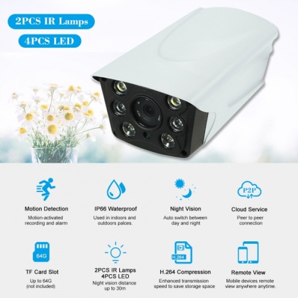 HD 960P P2P Onvif 2PCS IR Lamps IP Camera