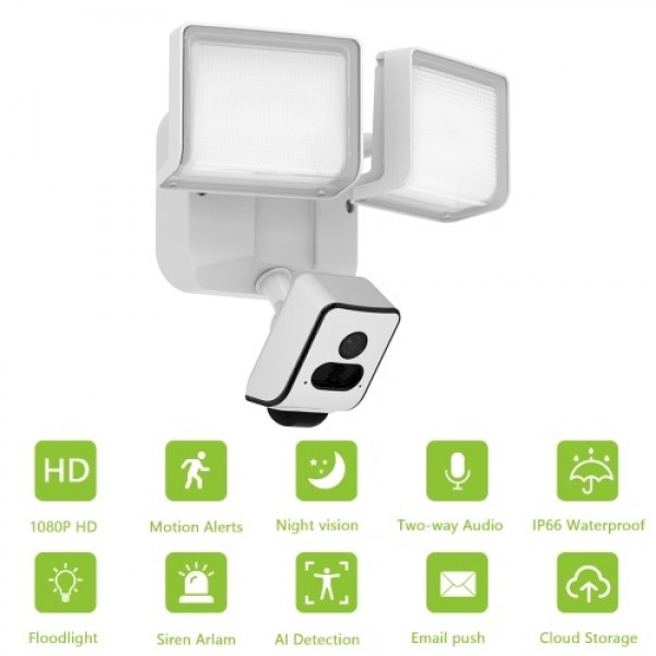 Outdoor Floodlight Security Camera