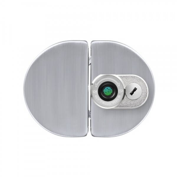 Smart Glass Door Lock