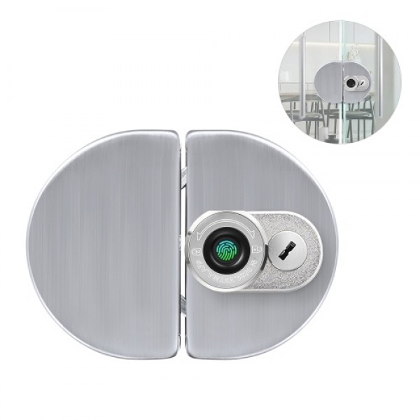 Smart Glass Door Lock