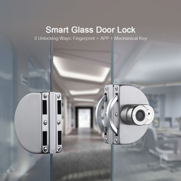 Smart Glass Door Lock