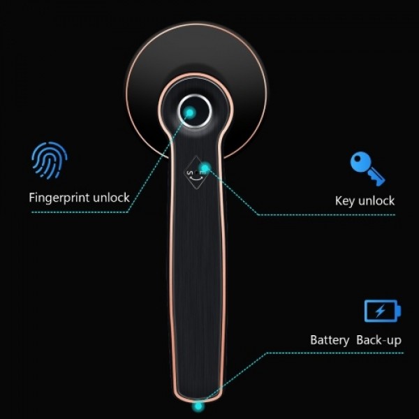 Fingerprint Door Lock