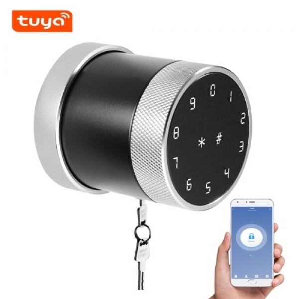 Smart Anti-theft Security Door Lock