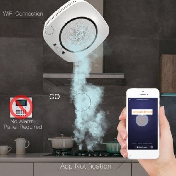 Wifi Carbon Monoxide Detector