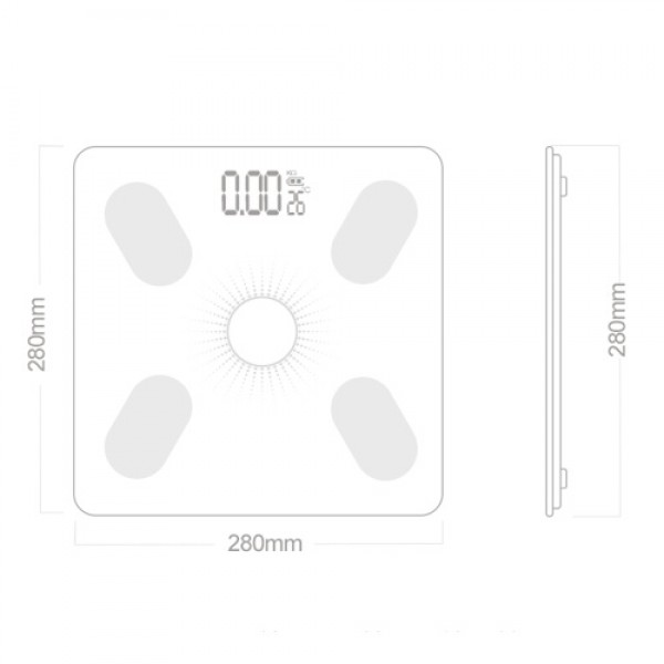 APP BT Body Intelligent Fat Scales