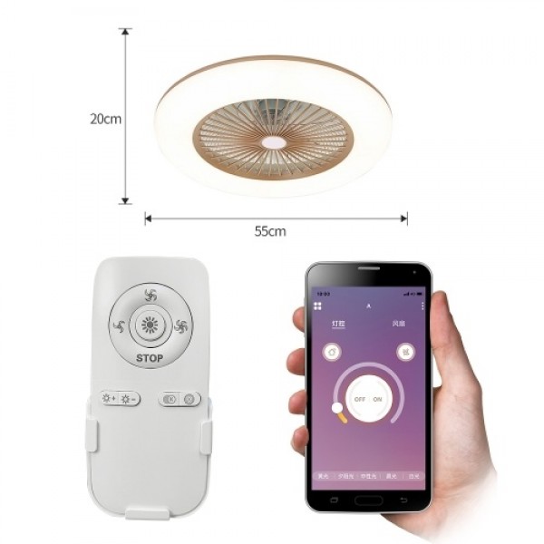 Ceiling Fan with Lighting LED Light (220V)