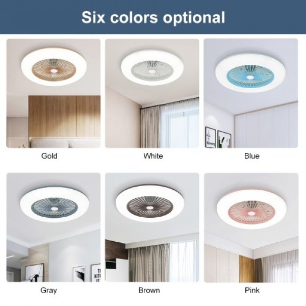 Ceiling Fan with Lighting LED Light (220V)