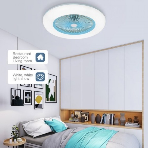 Ceiling Fan with Lighting LED Light (220V)