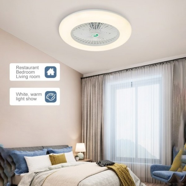 Ceiling Fan with Lighting LED Light (220V)