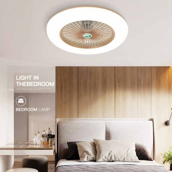 Ceiling Fan with Lighting LED Light (220V)