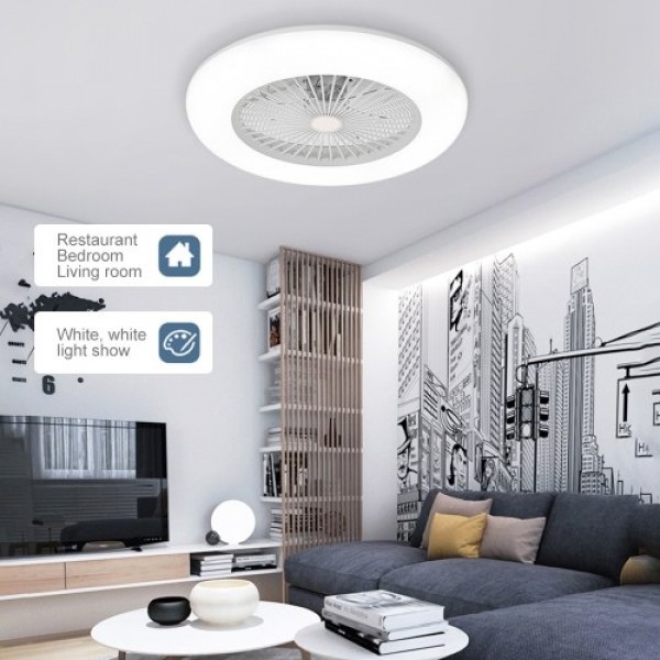 Ceiling Fan with Lighting LED Light (220V)