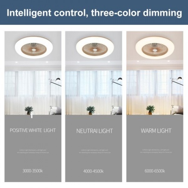 Ceiling Fan with Lighting LED Light (220V)