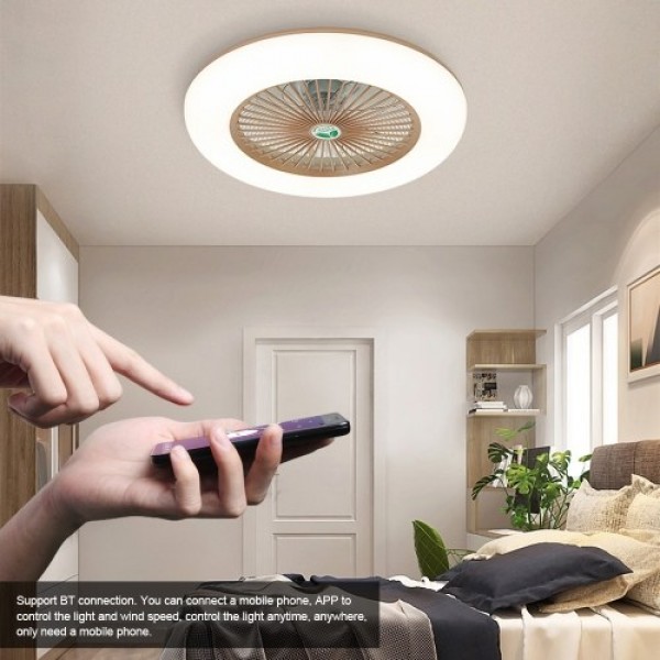 Ceiling Fan with Lighting LED Light (220V)