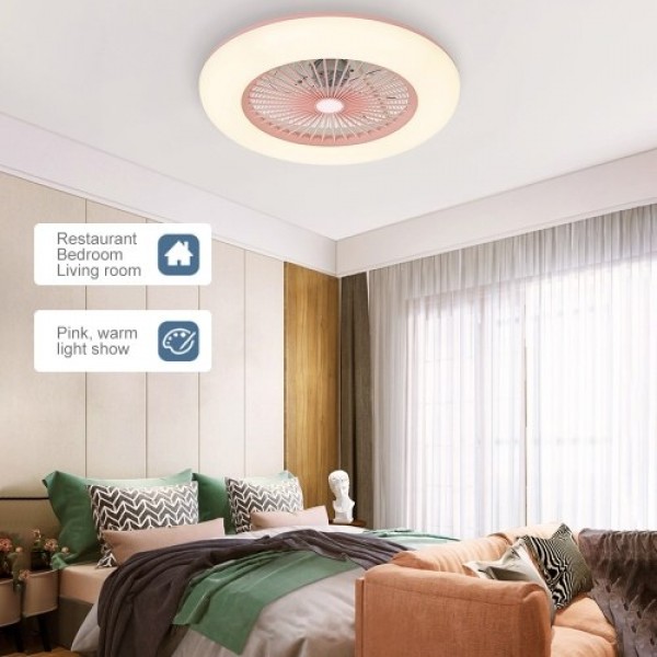 Ceiling Fan with Lighting LED Light (220V)