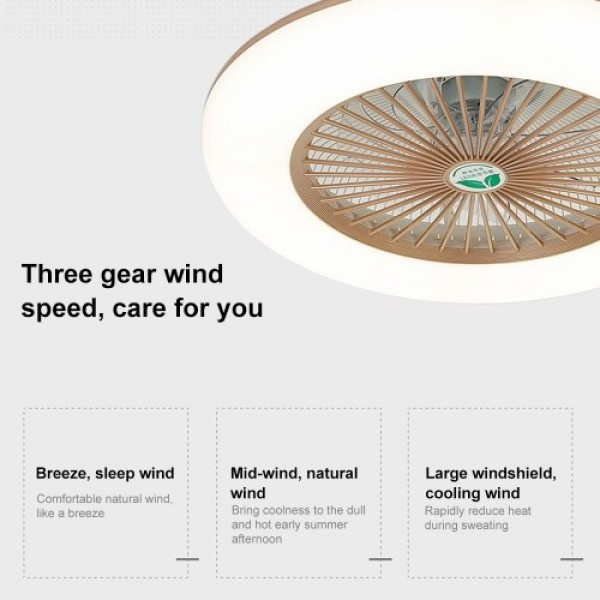 Ceiling Fan with Lighting LED Light (220V)