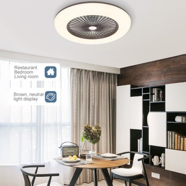 Ceiling Fan with Lighting LED Light (220V)