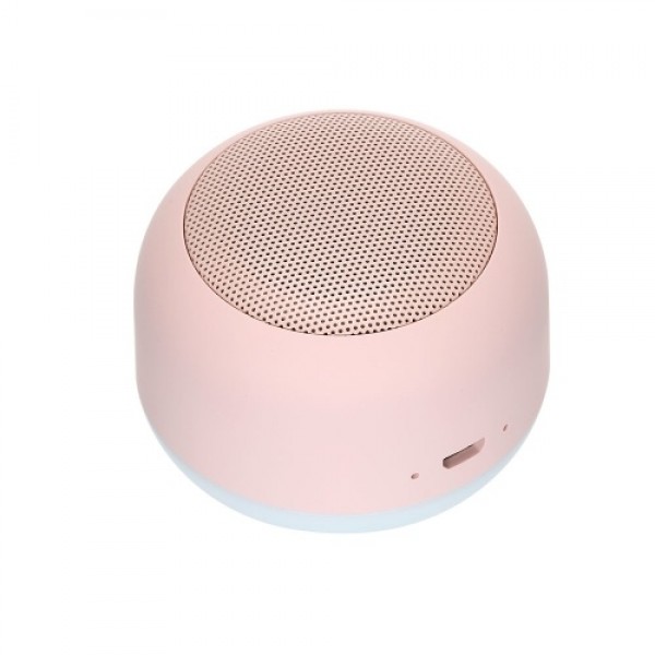 Portable Wireless Night Light BT Speaker