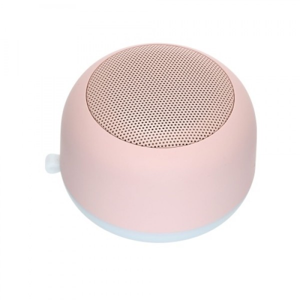 Portable Wireless Night Light BT Speaker