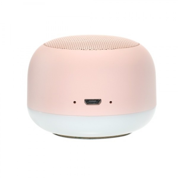 Portable Wireless Night Light BT Speaker