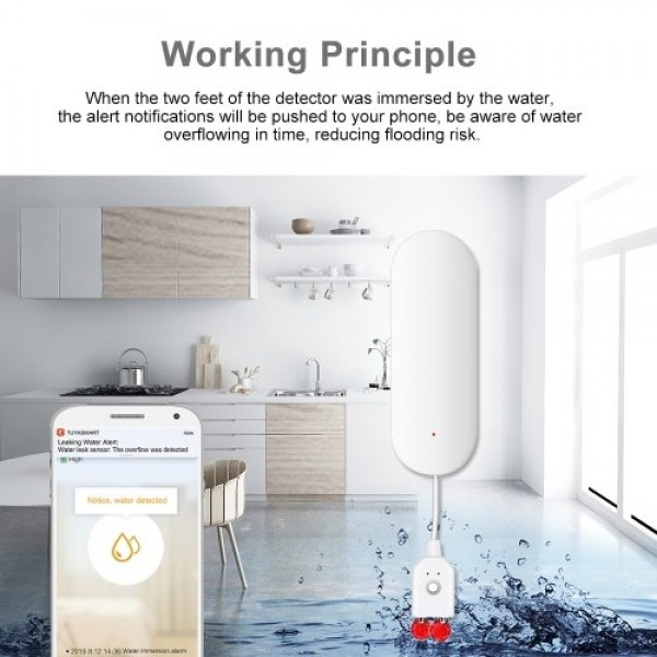 WIFI Water Leakage Detector Water Leak Sensor