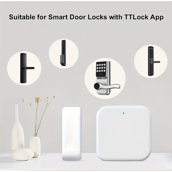 G2 Wi-Fi Gateway Remotely Control Smart Fingerprint Door Lock With TT Lock App, Gateway Smart Hub Compatible With Alexa Voice Control, Electronic Lock